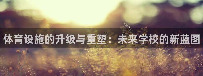 海南意昂体育4：体育设施的升级与重塑：未来学校的新蓝