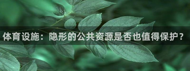 意昂4集团E.ON：体育设施：隐形的公共资源是否也值