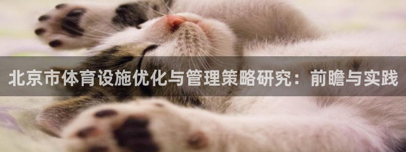 意昂4集团简介：北京市体育设施优化与管理策略研究：前