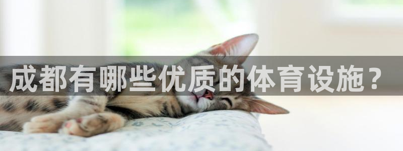 意昂4五金厂：成都有哪些优质的体育设施？