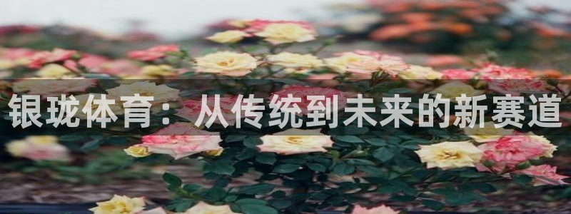 意昂体育4招商电话是多少：银珑体育：从传统到未来的新