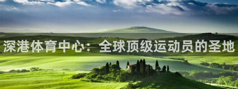 意昂体育4招商电话地址：深港体育中心：全球顶级运动员的圣地 